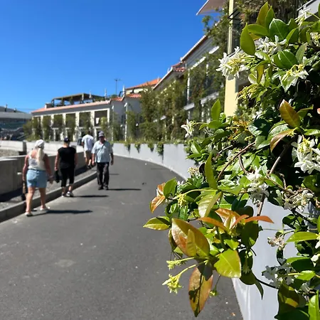 Saraiva Hills Ocean View Penthouse דירה Câmara de Lobos