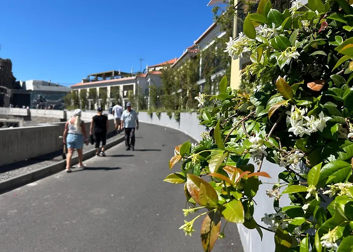 Saraiva Hills Ocean View Penthouse Apartamento Câmara de Lobos